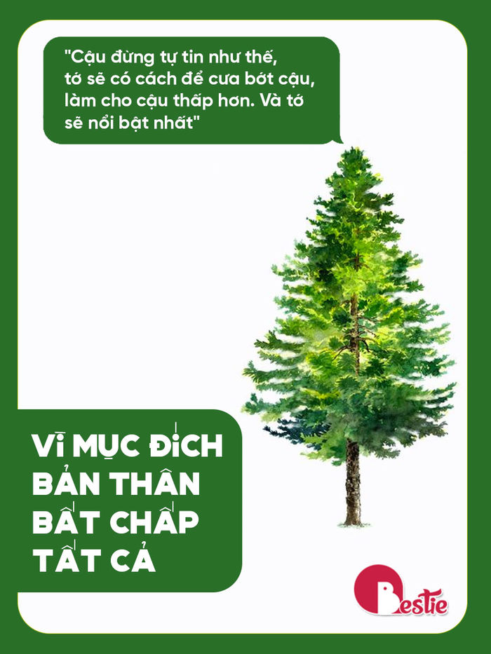4 cái cây trong đề văn tuyển sinh lớp 10 và 4 kiểu người ai cũng gặp