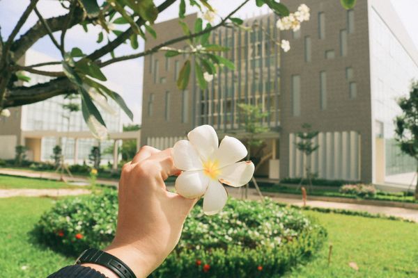 Những trường Đại học sống ảo “xịn” nhất Sài Gòn