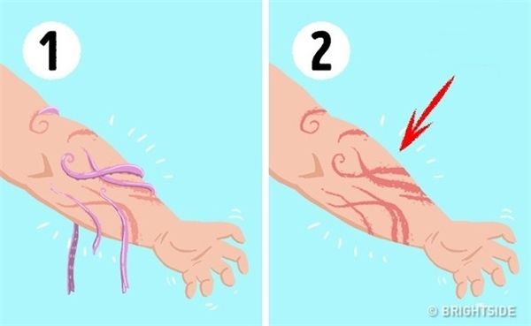 Những kĩ năng sinh tồn ai cũng cần biết để tự cứu mạng mình