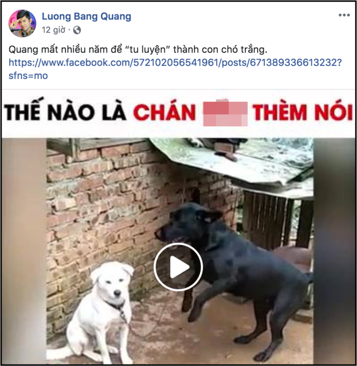 Hành trình yêu nhau đến chia tay của Lương Bằng Quang và Ngân 98