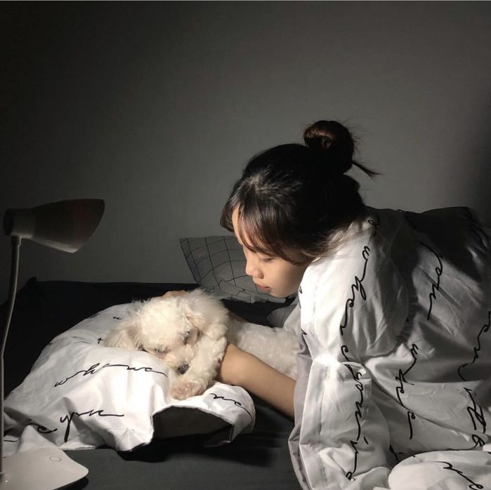 Khoa học chứng minh: Người thường hay nói chuyện với chó, mèo đều rất