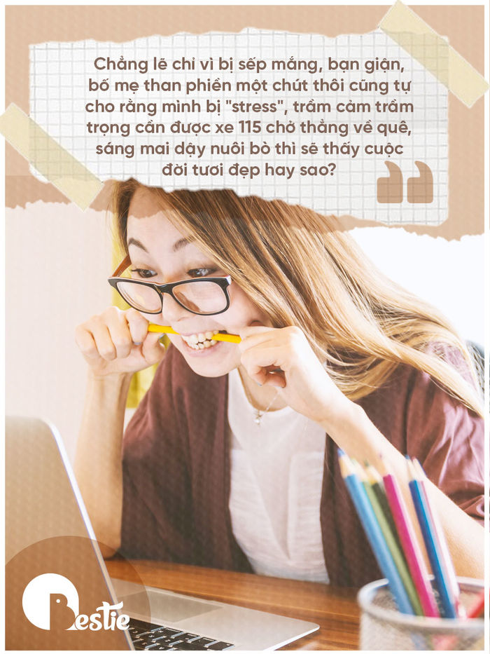 Muốn về quê nuôi bò nhưng bạn có đủ tiền để mua một con bò hay không?