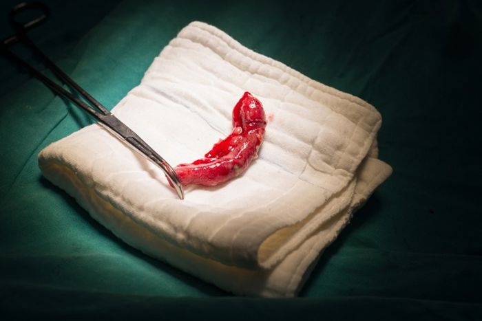 Những bức ảnh rất độc đáo không dễ nhìn thấy nhiều lần trong đời