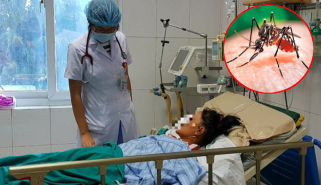 Học cách đuổi muỗi, phòng bệnh sốt xuất huyết hiệu quả