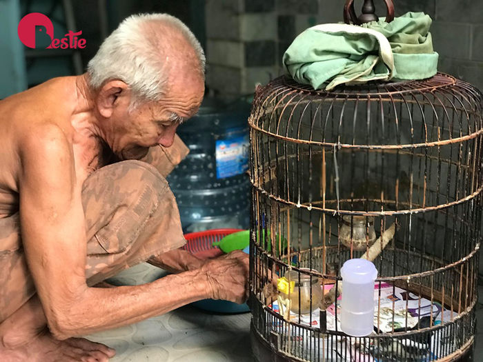 Chiếc xe gỏi khô bò và chuyện tình yêu của đôi vợ chồng già ở Sài Gòn