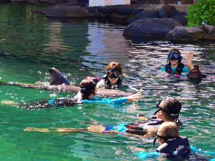 BlackPink “đại náo” Hawaii: Mỗi người một vẻ nhưng đẹp nhất là Jisoo