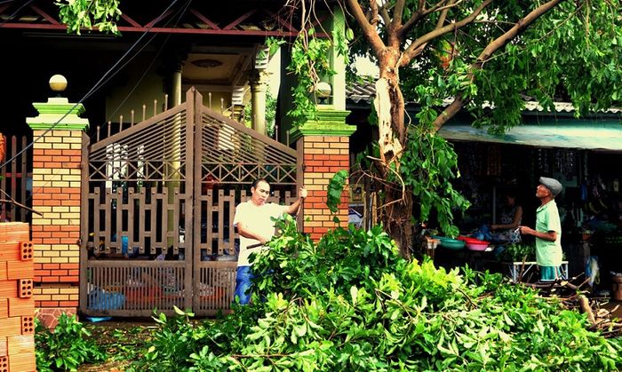 Chủ động ứng phó khi bão, áp thấp nhiệt đới tràn về