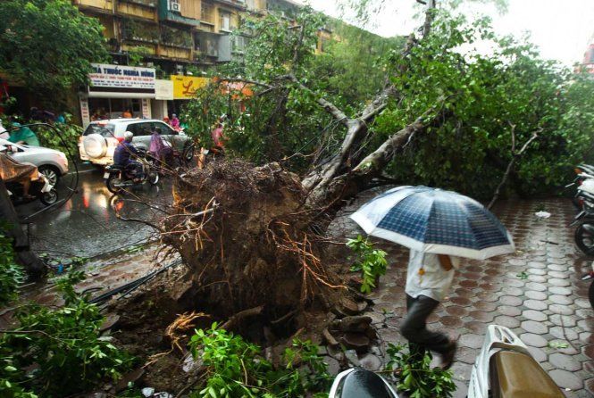 Chủ động ứng phó khi bão, áp thấp nhiệt đới tràn về