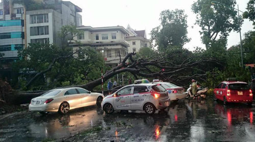 Chủ động ứng phó khi bão, áp thấp nhiệt đới tràn về