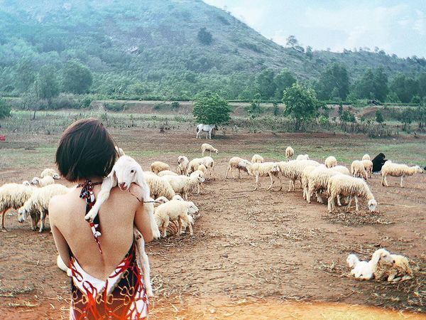 Hồ Quang Hiếu bị fan soi ảnh đi du lịch cùng Bảo Anh