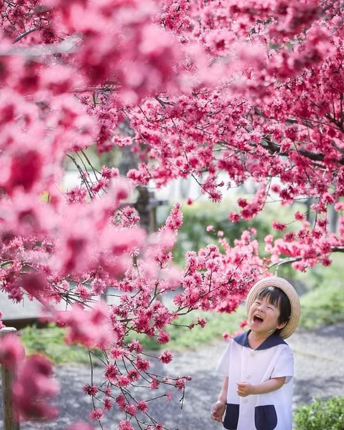 Hôn nhân có thể có thể 5 năm nhưng con cái mới là sợi dây gắn kết