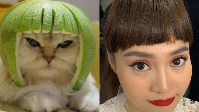 Kỳ Hân bị chê đơ sau cắt mí, Thu Quỳnh hết hiền quay về làm My Sói