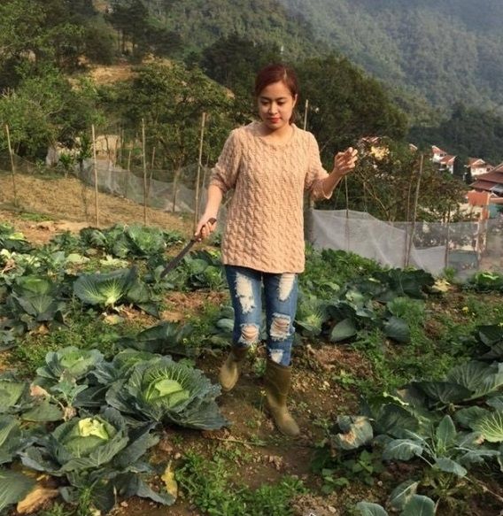 Lý Nhã Kỳ và loạt sao Việt đổ xô về quê trồng rau, nuôi gà