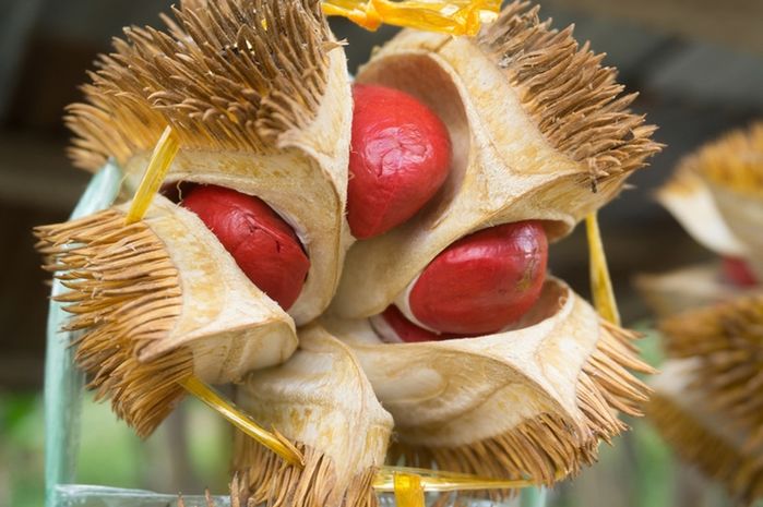 Những loại trái cây có màu sắc cực lạ khác với bình thường