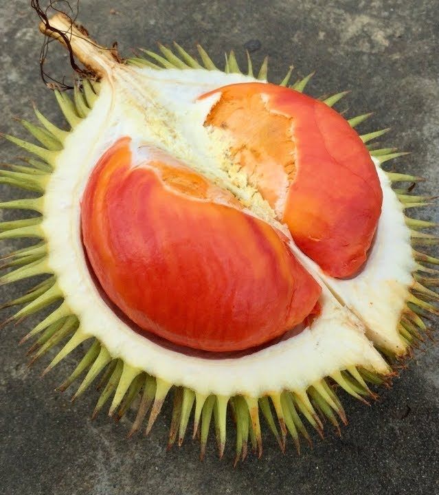 Những loại trái cây có màu sắc cực lạ khác với bình thường