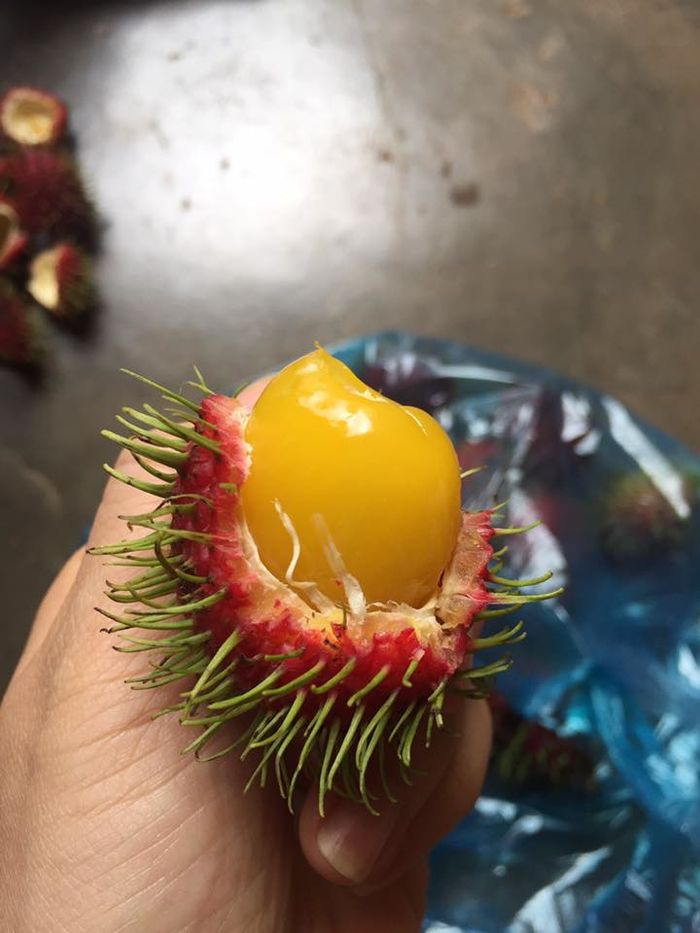 Những loại trái cây có màu sắc cực lạ khác với bình thường