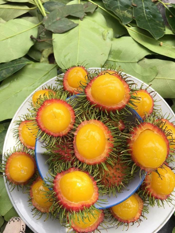 Những loại trái cây có màu sắc cực lạ khác với bình thường