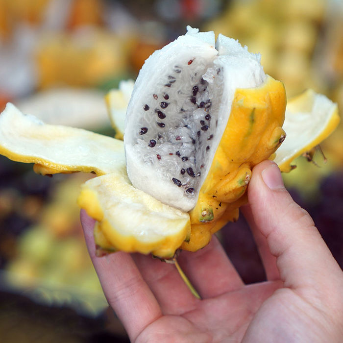 Những loại trái cây có màu sắc cực lạ khác với bình thường