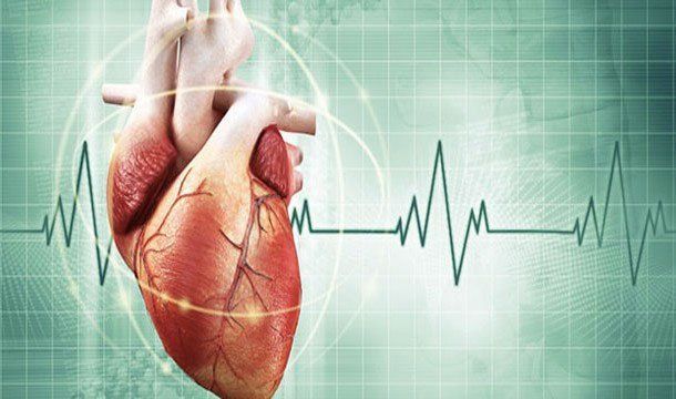Những sự thật rất thú vị ai cũng ngả ngửa khi được biết