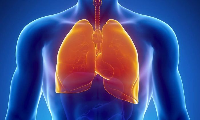 Những sự thật rất thú vị ai cũng ngả ngửa khi được biết