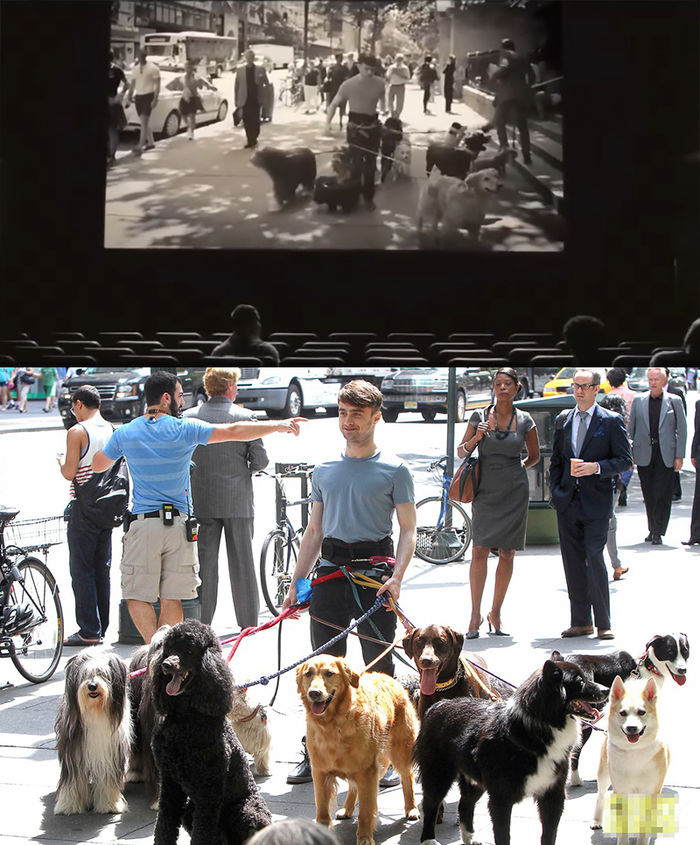 Những vai diễn cameo đầy bất ngờ trong các bộ phim Hollywood