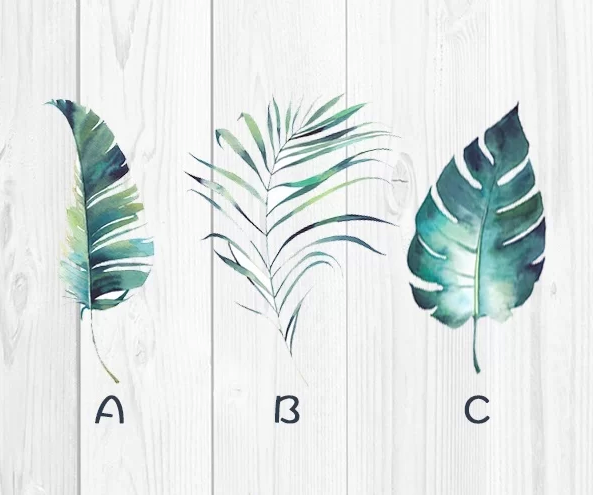 Trắc nghiệm: Chọn 1 chiếc lá biết ngay điều sẽ sắp sửa xảy đến với bạn