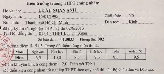 Các sao Việt nhận bằng thạc sĩ dù tuổi đời còn rất trẻ