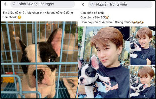 Chi Dân và Lan Ngọc bị fan “soi” cùng đi siêu thị, bằng chứng hẹn hò