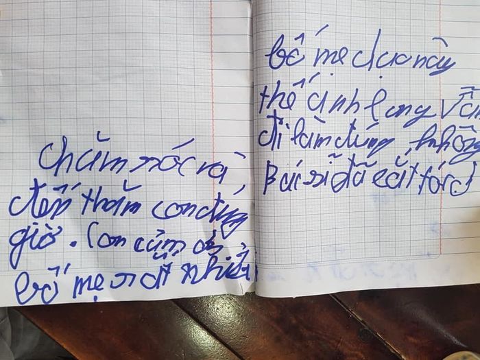 Dòng trăn trối xiên xẹo của cậu bé suy tạng: Con ngủ đây, con hơi mệt