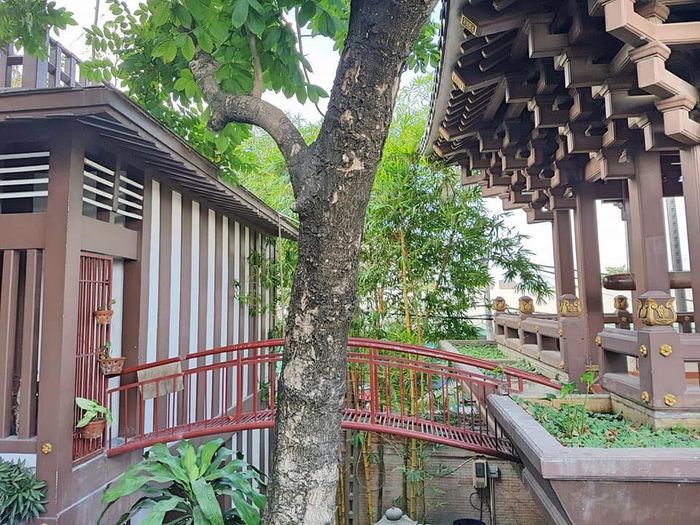 Giữa lòng Sài Gòn xuất hiện tiểu Tokyo đẹp xuất sắc