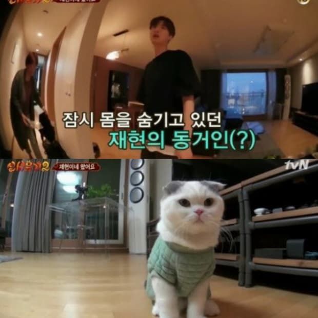 Khối tài sản chung của Goo Hye Sun - Ahn Jae Hyun