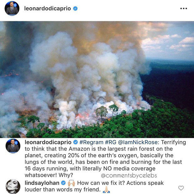 Leonardo DiCaprio và loạt sao hướng về về vụ cháy rừng Amazon
