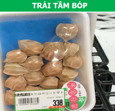 Những loại quả rẻ bèo ở Việt Nam thành đắt xắt ra miếng ở nước ngoài