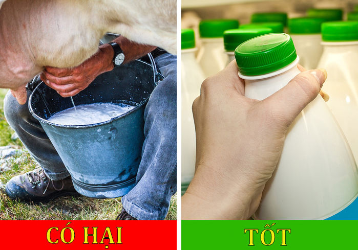 Những thực phẩm có hại cho con mà cha mẹ cứ vô tư cho ăn