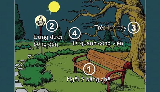 Trắc nghiệm: Tình huống đi lạc hé mở bản chất thật của bạn