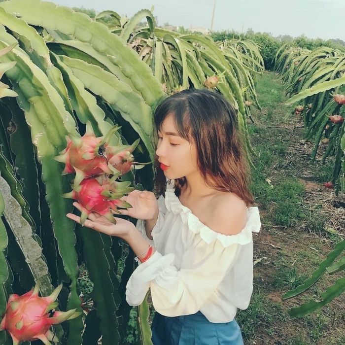 Vương quốc thanh long đẹp như tranh ở Bình Thuận