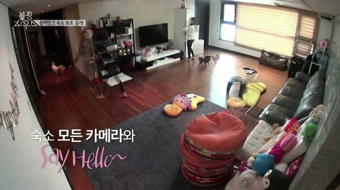5 ký túc xá sang xịn nổi tiếng Kpop: BTS, BLACKPINK góp mặt
