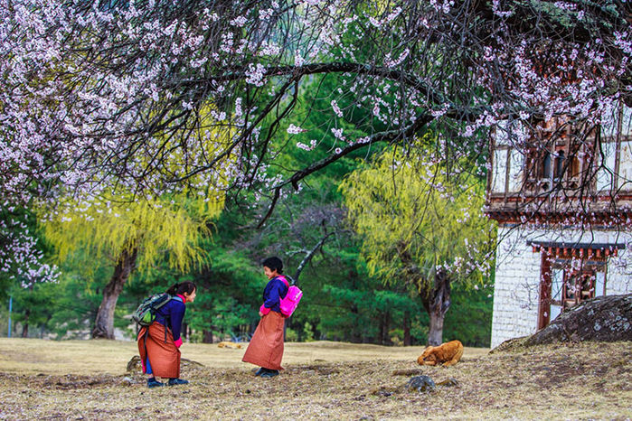Bhutan và những điều thú vị: Học hành miễn phí, nói không với thuốc lá