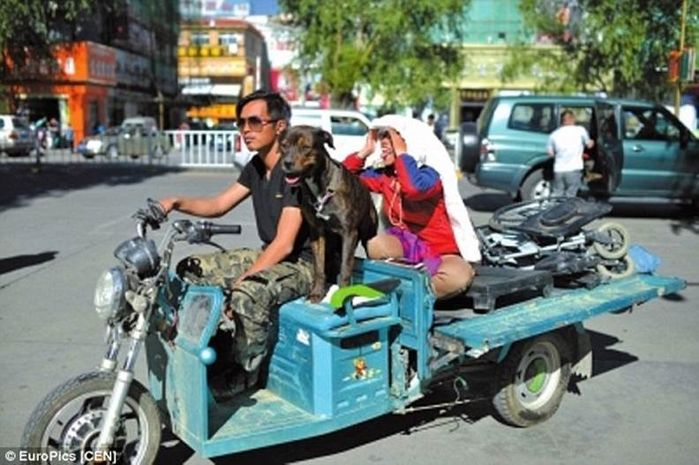 Chàng trai đưa người yêu bị liệt đi khắp đất nước trong 4 năm
