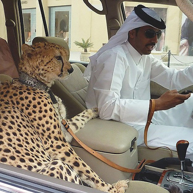 Dubai thành phố của sự xa xỉ: Đi xe dát vàng, sống trên 9 tầng mây