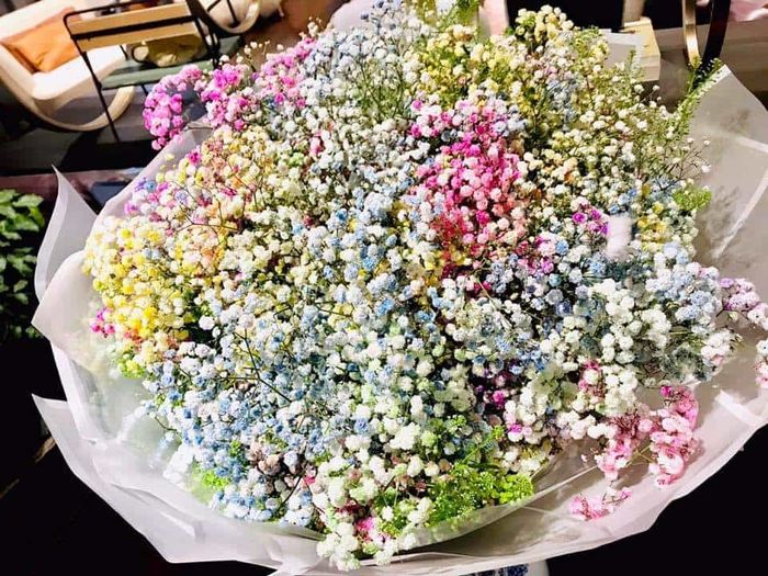 Ngọc Trinh mặc nội y dạo phố nước ngoài, Linh Chi tuyên bố kết hôn