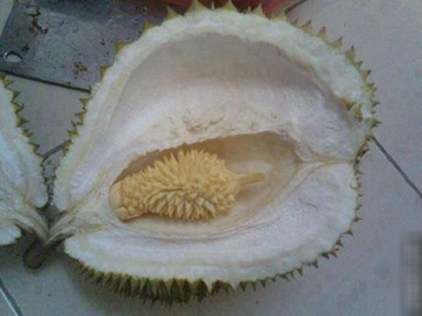 Hí hửng mua sầu riêng không hạt, cô nàng nghẹn ngào khi thưởng thức