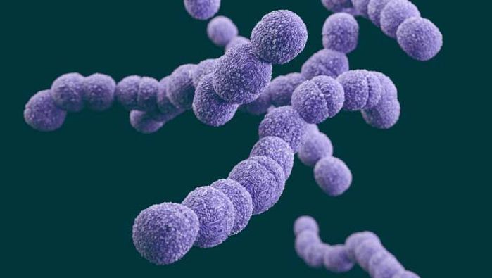 Khiếp sợ vì sự xâm lấn của vi khuẩn ăn thịt người, nhất là Clostridium