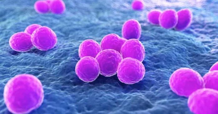 Khiếp sợ vì sự xâm lấn của vi khuẩn ăn thịt người, nhất là Clostridium