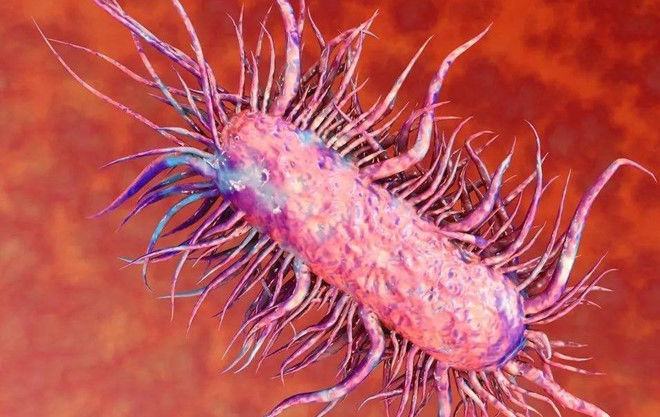 Khiếp sợ vì sự xâm lấn của vi khuẩn ăn thịt người, nhất là Clostridium