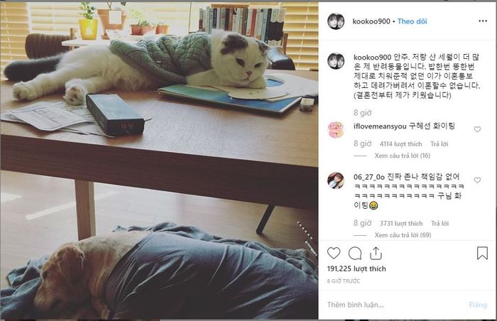 Ly hôn kì lạ kiểu nhà Goo Hye Sun - Ahn Jae Hyun