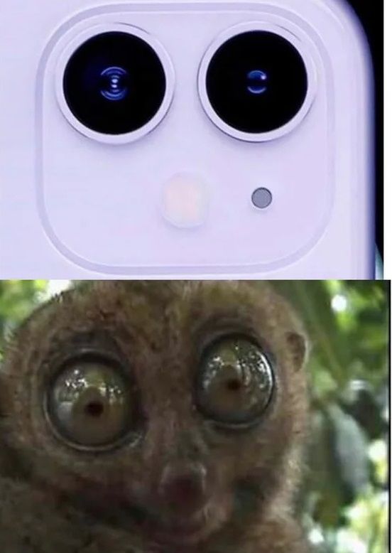 Mới trình làng iPhone 11 đã bị lôi ra chế ảnh, cosplay thành bếp điện