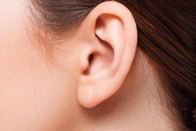 Nhân tướng học: Người tai tròn hậu vận suôn sẻ, dư dả và sung túc