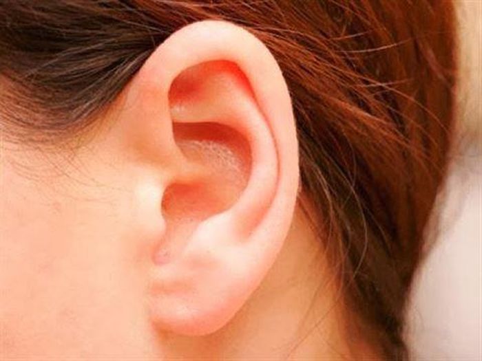 Nhân tướng học: Người tai tròn hậu vận suôn sẻ, dư dả và sung túc