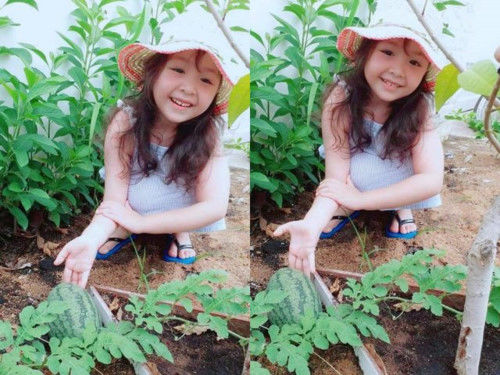Những tiểu mỹ nhân nhà sao Việt dự báo là hoa hậu tương lai